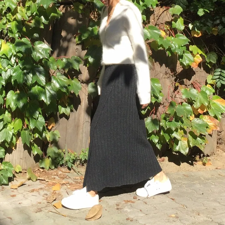 Aara Knit Long Skirt